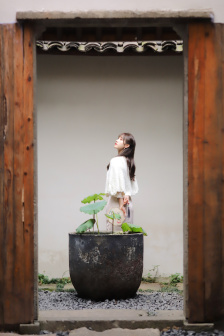 禁忌的爱小说